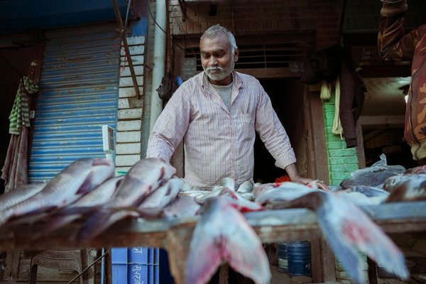 Comment devenir un expert en finance islamique ?